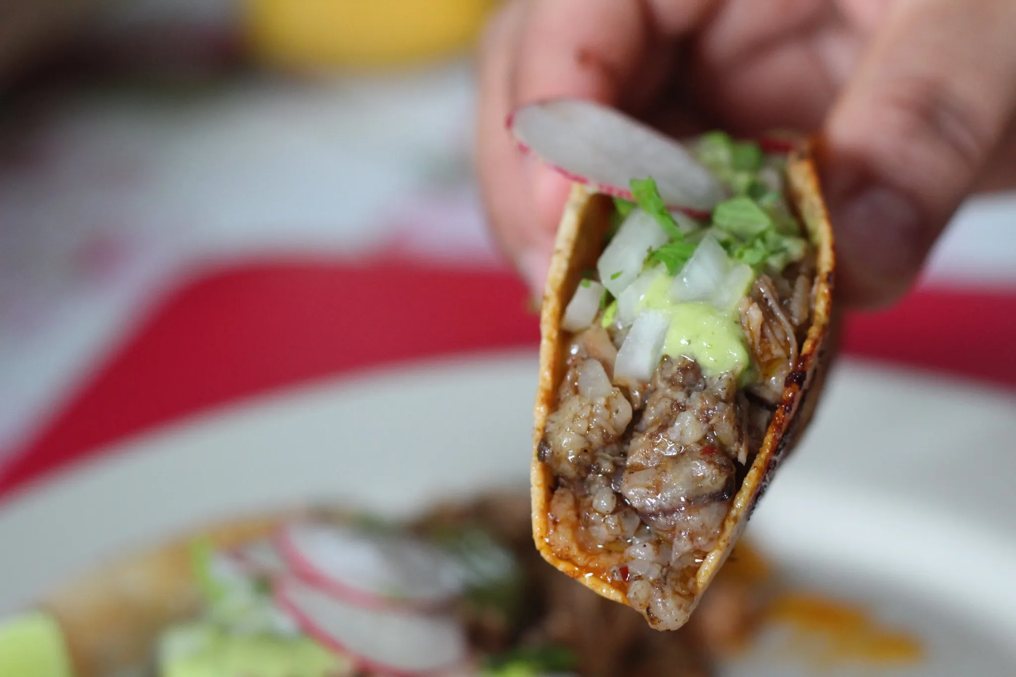Taquiza al carbón en Cancún - ChefToGo